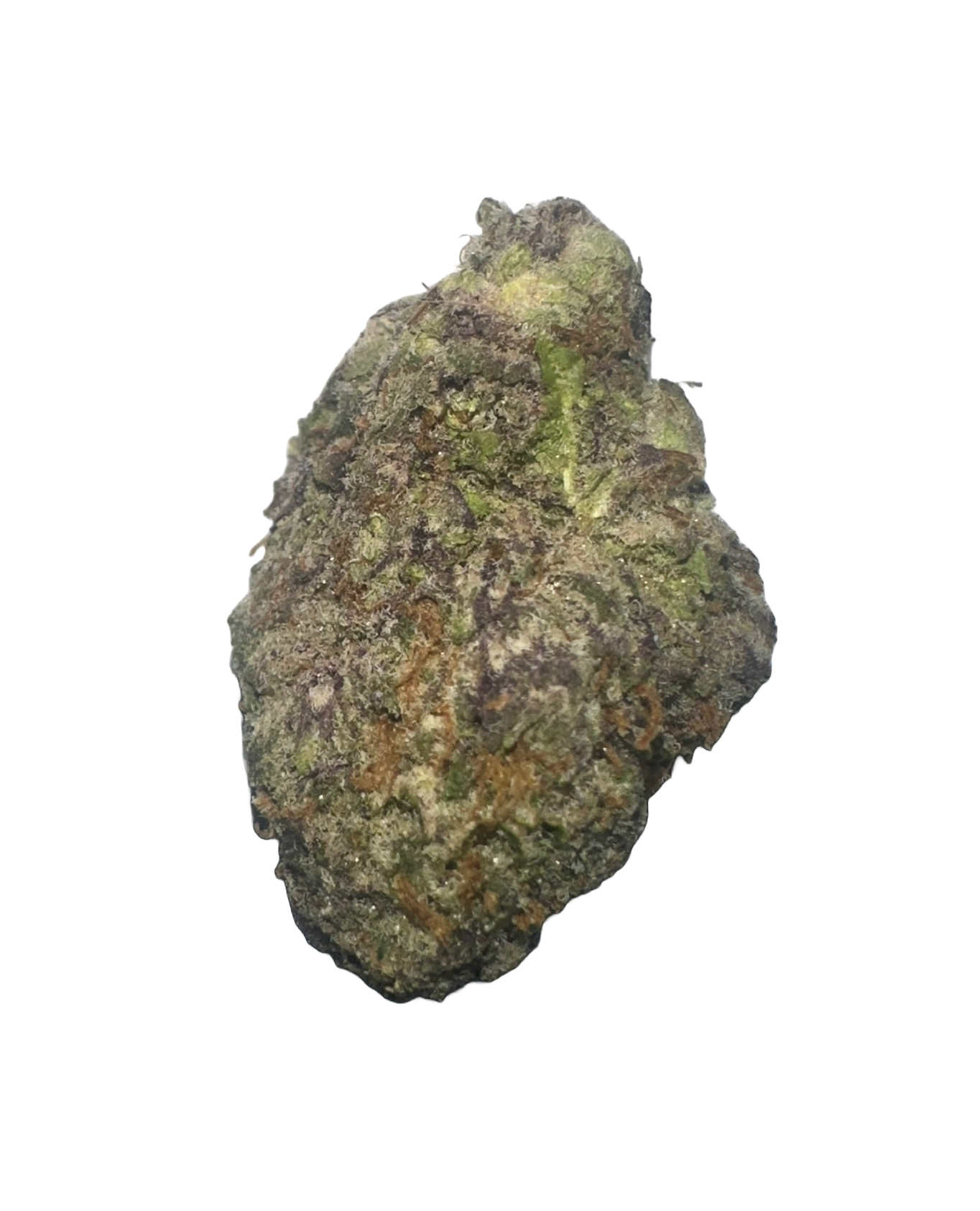 IMG_3314 rainbow sherbet strain