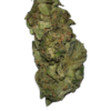 Amnesia Haze