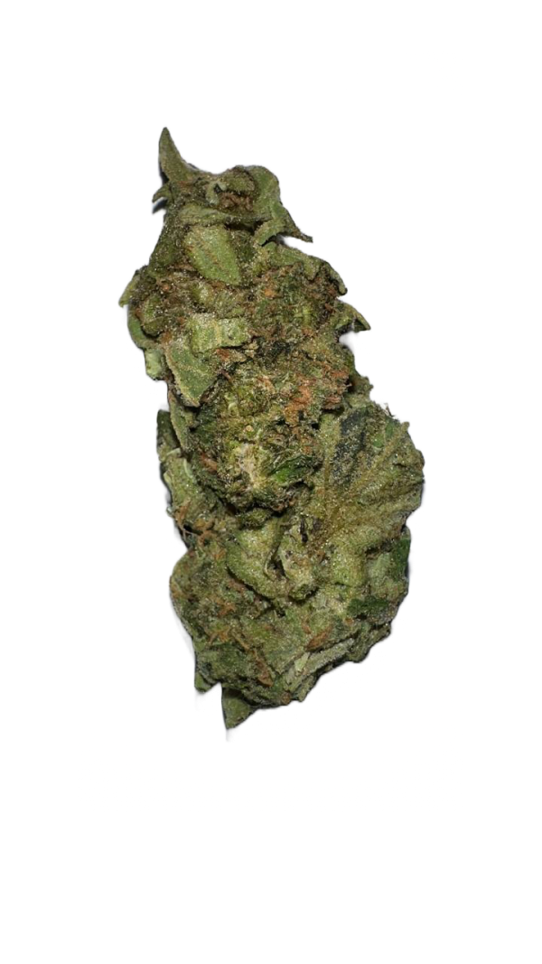 img_0027-600x1067 Amnesia Haze