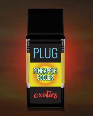 Pineapple-cooler-1