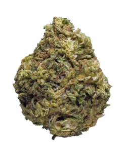 Endless Sey – 3.5g