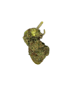 Lemon Cherry Gelato x Runtz – 3.5g