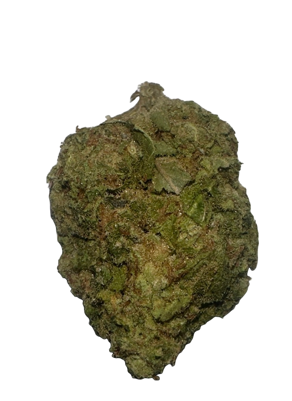 qwerr