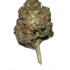 UK Stardawg – 3.5g