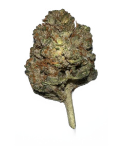 UK Stardawg – 3.5g